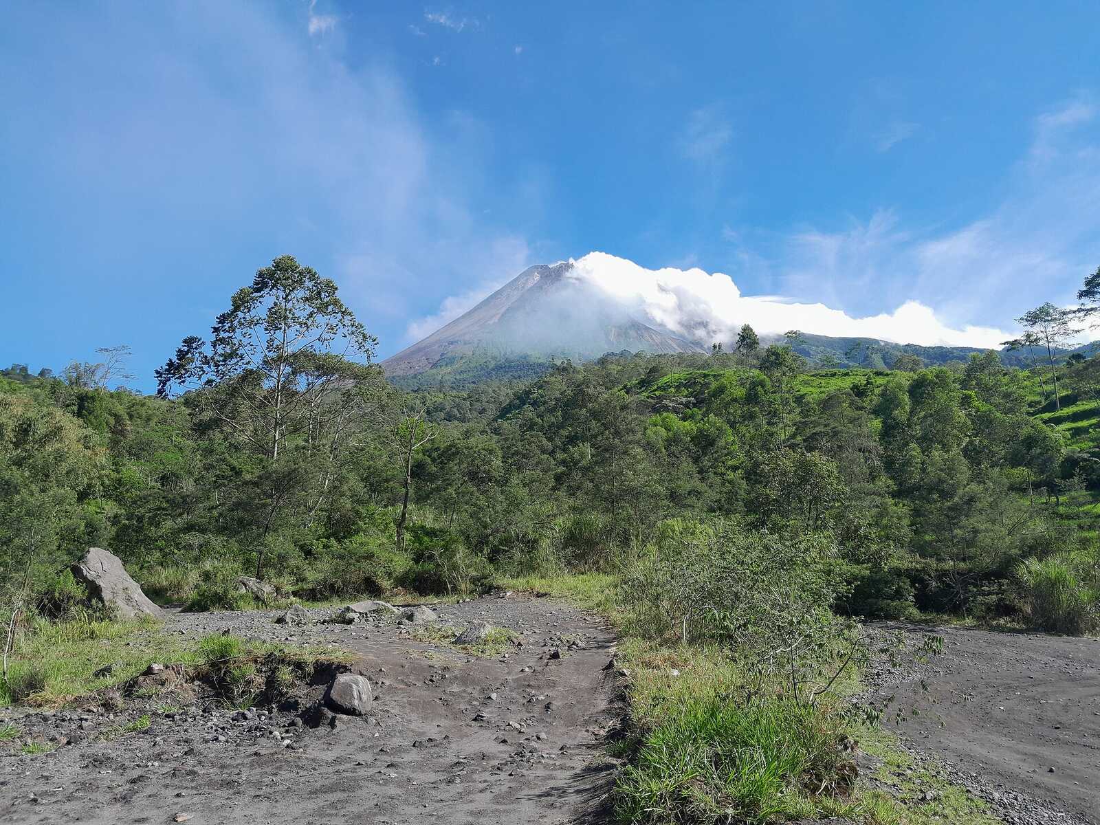 Hutan dan puncak Merapi dari jalur jeep